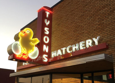 Tysons Hatchery Neon sign